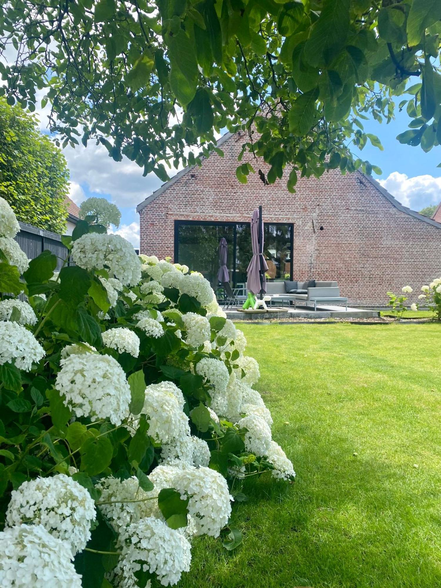 Hoeve De Kleinheide Dessel Exterior photo